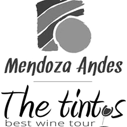 Mendoza Andes